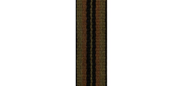 D&#39;Addario Woodwinds / SJA03 S/A.Sax Strap Stripe 2画像2
