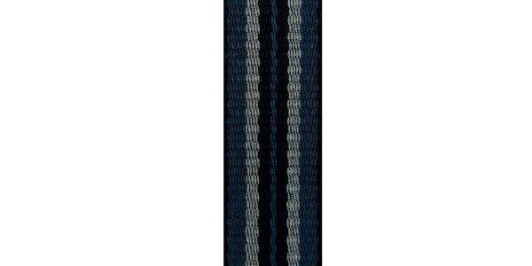 D&#39;Addario Woodwinds / SJA04 S/A.Sax Strap Stripe 1画像2