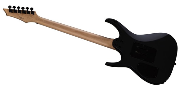 DEAN GUITARS ( ディーンギター )  / Exile X Floyd Black Satin画像2