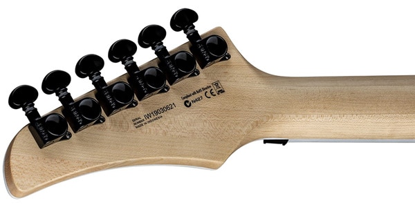 DEAN GUITARS / NashVegas Select Floyd Black Satin画像5