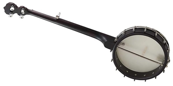 DEERING BANJO COMPANY / ARTISAN GOODTIME AMERICANA BANJO画像2