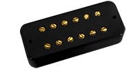 DIMARZIO DP162 DLX Plus Neck Black/Gold Pole Pieces