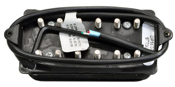 DIMARZIO / DP166 ZEBRA画像2