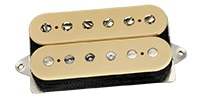 DIMARZIO / DP224 Cream