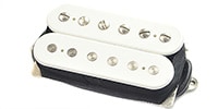 DIMARZIO DP254 WHITE Transition NECK