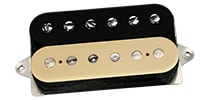 DIMARZIO / DP255BC