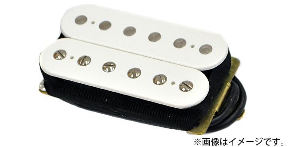 DIMARZIO/DP257 F-SPACE WHITE　Illuminator Bridge