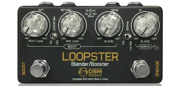 DSM Noisemaker ( ディーエスエムノイズメーカー )  / Loopster