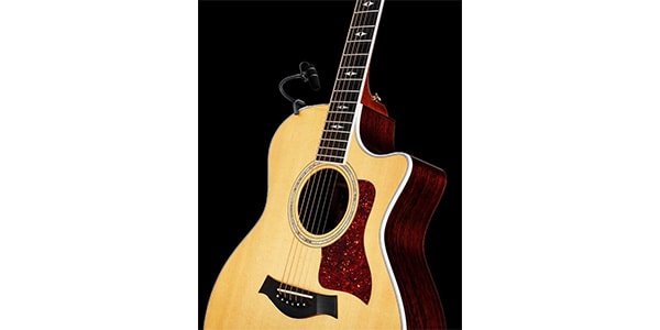 DPA ( ディーピーエー )  / 4099-DP-1-199-G画像2