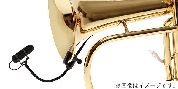 DPA / STC4099 画像3