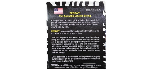 DR / ZAE-12 ZEBRA Light画像2
