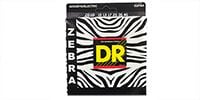 DR ZE-10 ZEBRA