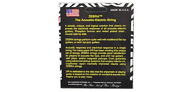 DR / ZE-10 ZEBRA 画像2