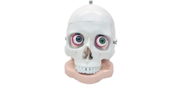 DR.NO ( ドクターノオ ) SKULL FUZZ 送料無料 | サウンドハウス