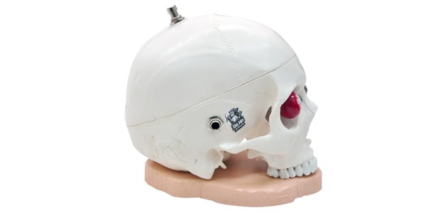 DR.NO ( ドクターノオ ) SKULL FUZZ 送料無料 | サウンドハウス