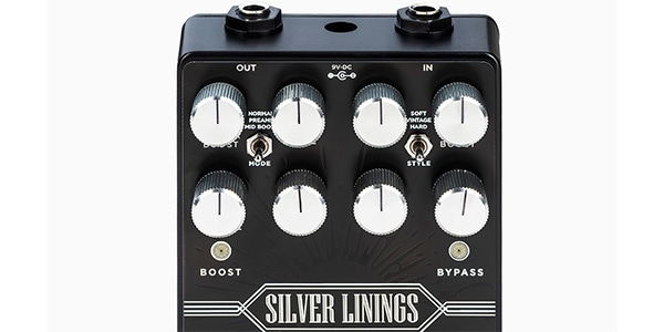DSM & Humboldt Simplifier / SILVER LININGS画像6