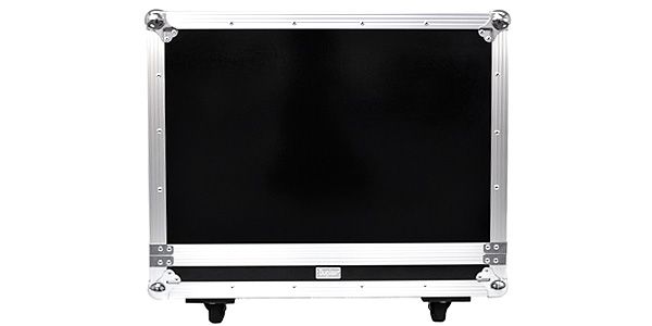 DUPLEX / TWIN REVERB CS 画像2