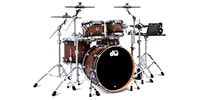 DW / DWe 5PC SHELL PK, CUR MAP BUR, BOX C SNARE