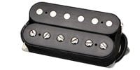 DIMARZIO / DP256 F-SPACE BLACK Illuminator Neck