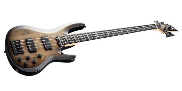 E-II / BTL-4 Black Natural Burst画像3