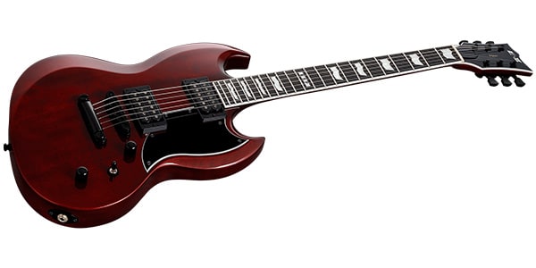 E-II ( イーツー )  / VIPER FL See Thru Black Cherry画像2