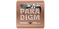 ERNIEBALL Paradigm Phosphor Bronze AcousticGuitar Strings 12-54