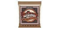 ERNIEBALL Earthwood Phosphor Bronze MEDIUM LIGHT #2146