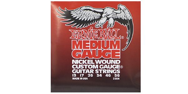 ERNIEBALL/MEDIUM #2204