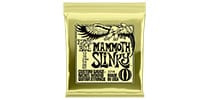 ERNIEBALL Mammoth Slinky #2214