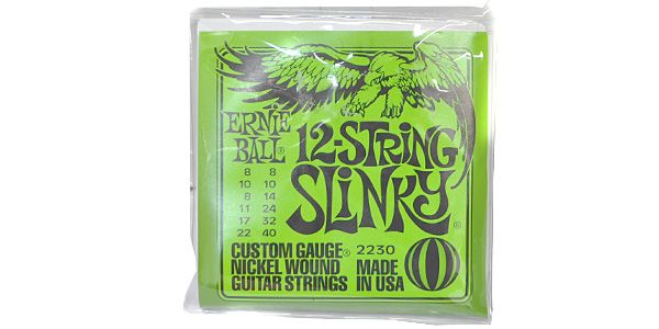 ERNIEBALL 12-String Slinky #2230