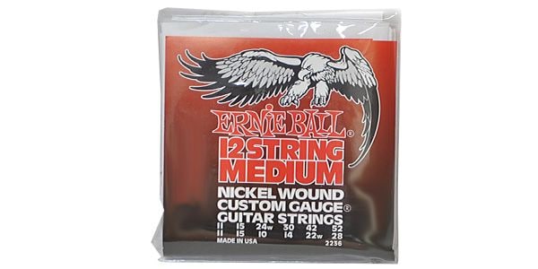 ERNIEBALL/12-String Medium #2236