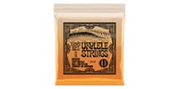 ERNIE BALL / P02329
