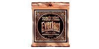 ERNIEBALL EVERLAST COATED MEDIUM