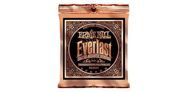 ERNIEBALL/EVERLAST COATED MEDIUM