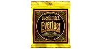 ERNIEBALL EVERLAST COATED MEDIUM