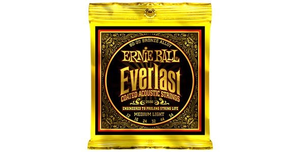 ERNIEBALL/EVERLAST COATED 80/20BRONZE MEDIUM LIGHT