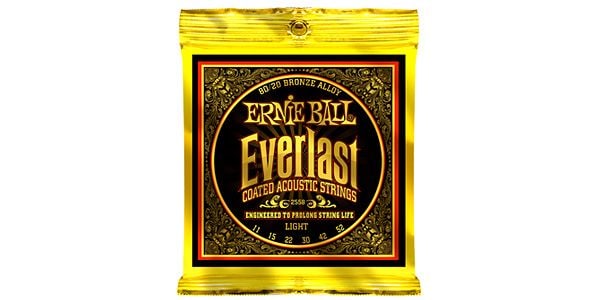 ERNIEBALL/EVERLAST COATED 80/20 LIGHT