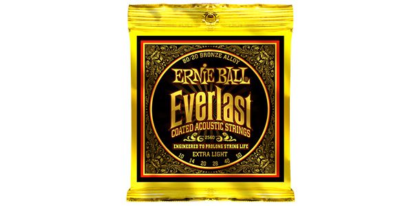 ERNIEBALL/EVERLAST COATED 80/20BRONZE EXTRA LIGHT