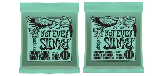 ERNIEBALL/NOT EVEN SLINKY ツインパックセット