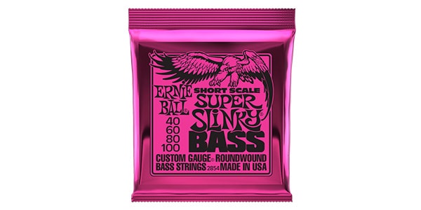 ERNIE BALL / P02854