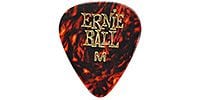 ERNIEBALL MEDIUM SHELL PICK