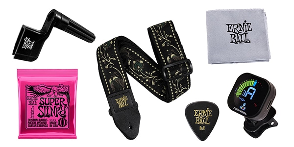 ERNIE BALL ( アーニー・ボール )  / エレキギター用アクセサリーセット GAS04