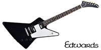 EDWARDS E-EX-120D