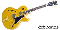 EDWARDS E-FA-200MA2 Vintage Natural