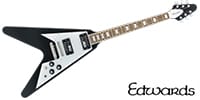 EDWARDS E-FV-120D Black