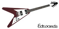 EDWARDS E-FV-120D Cherry