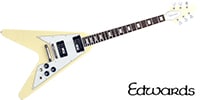 EDWARDS E-FV-120D Vintage White