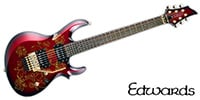 EDWARDS E-MAIDEN HIZAKIモデル