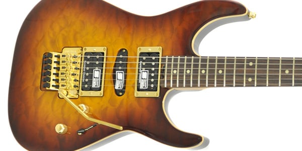 EDWARDS / E-MR-165DT画像2