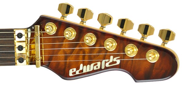 EDWARDS / E-MR-165DT画像4